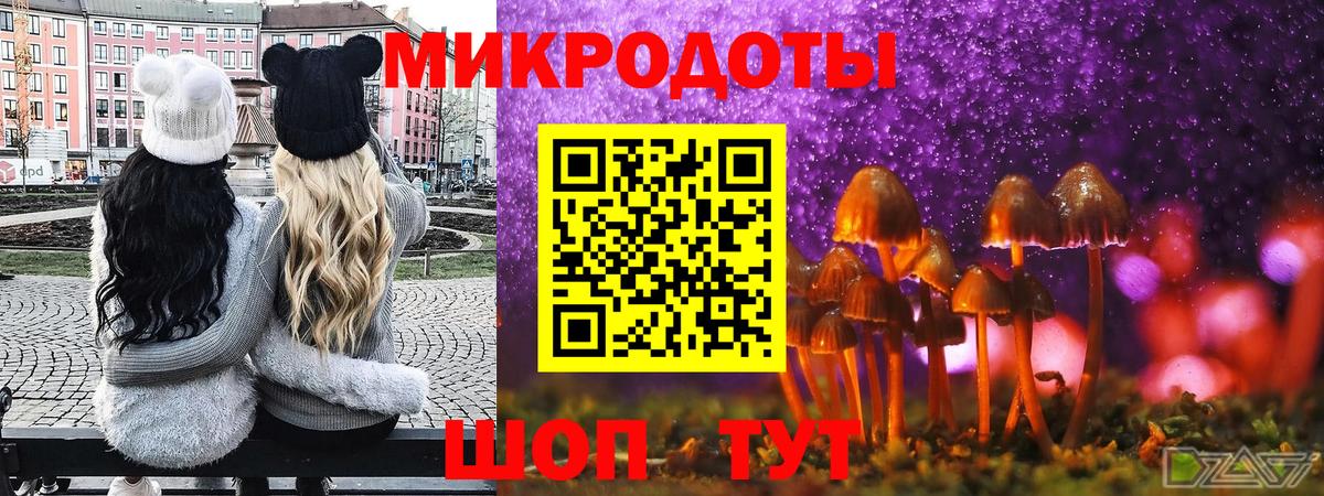 Псилоцибиновые грибы мухоморы Кирово-Чепецк