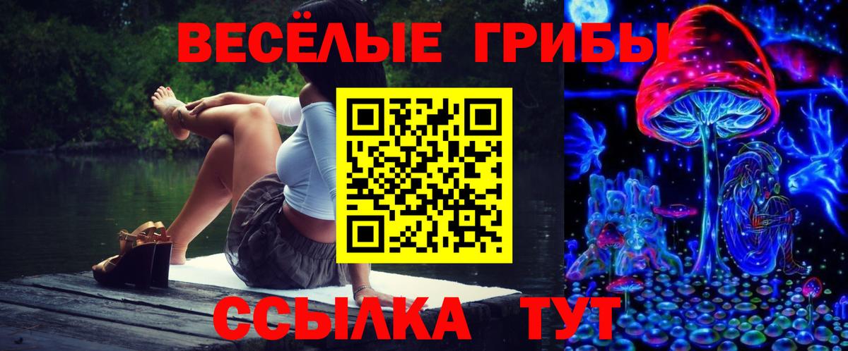 Псилоцибиновые грибы Psilocybine cubensis  Вход с VPN  магазин продажи   Псилоцибиновые грибы Psilocybe  Кирово-Чепецк 